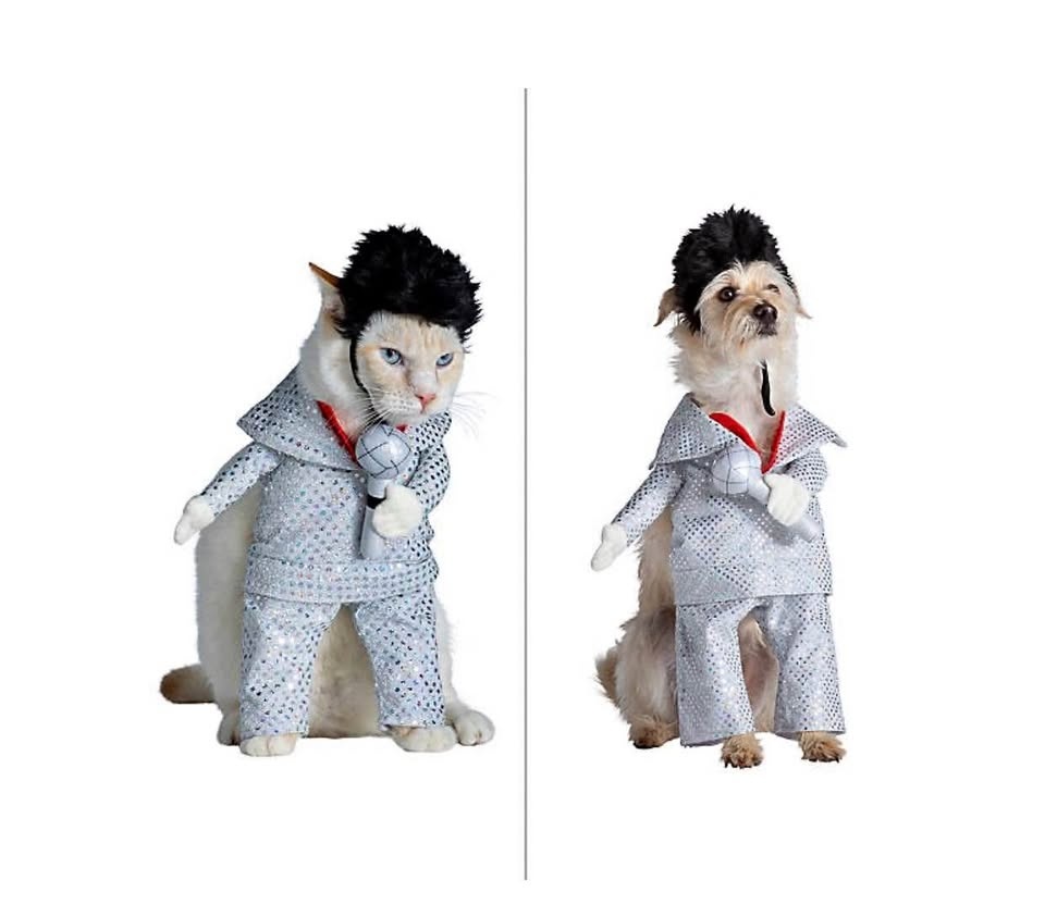 Halloween Dog & Cat Elvis Singer Costume - Small