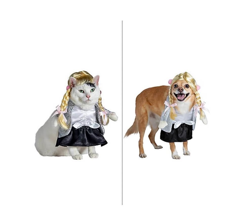 Halloween Female Singer Dog & Cat Costume Britney Spears