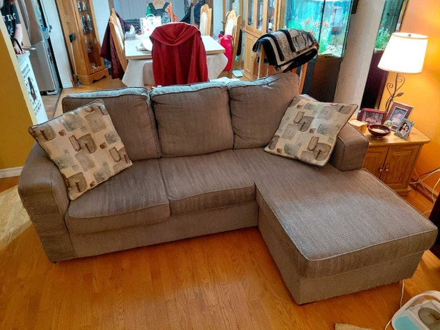 L-Shaped Sectional Couch with Pull Out Bed