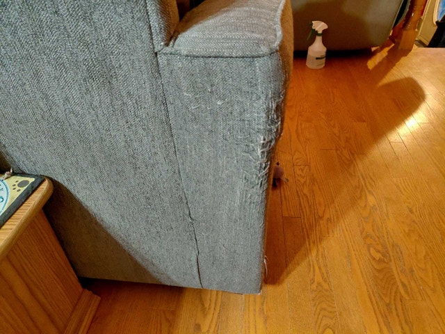 L-Shaped Sectional Couch with Pull Out Bed - photo 4