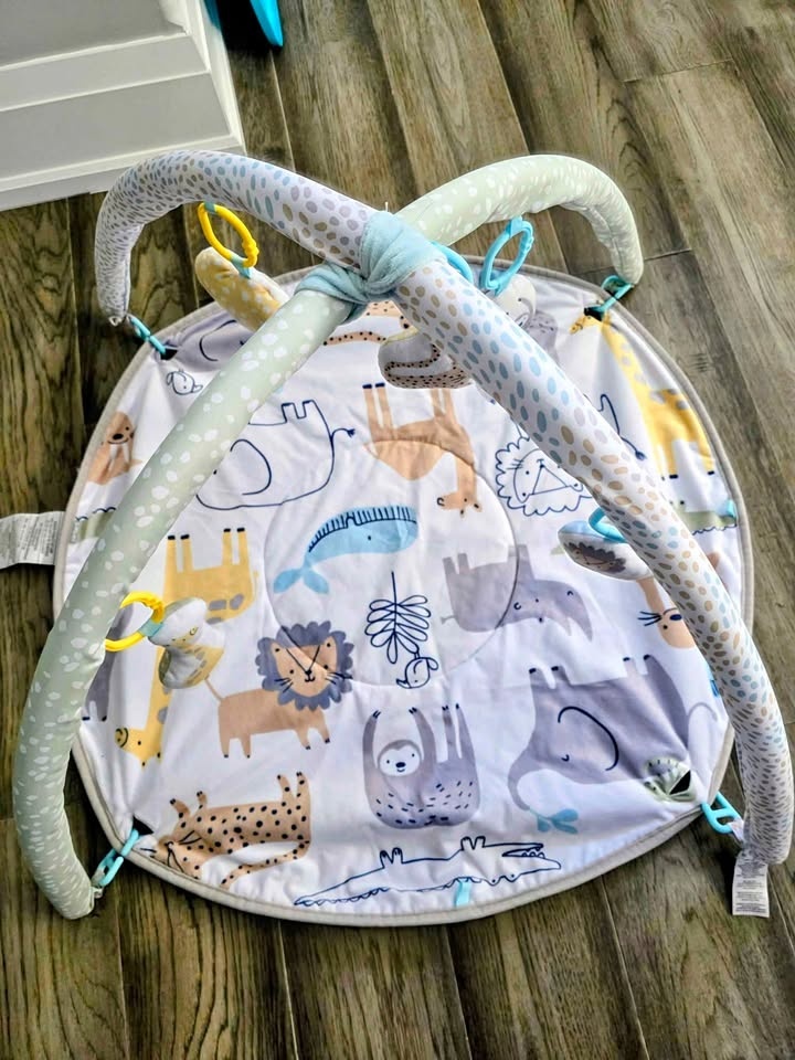 Carter’s Safari Baby Play Gym & Tummy Time Mat