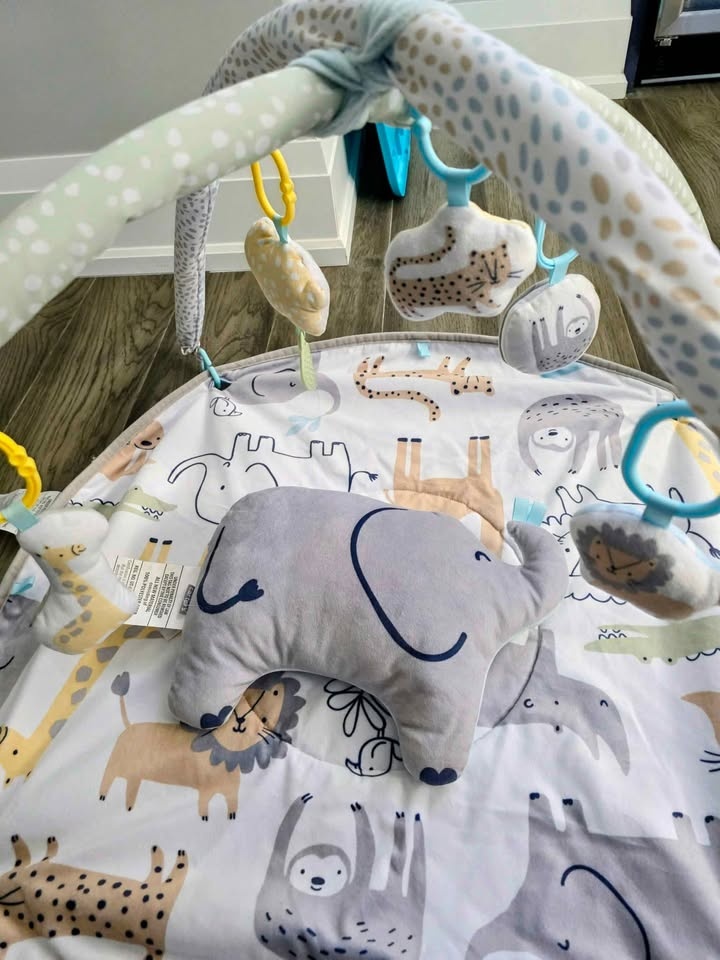 Carter’s Safari Baby Play Gym & Tummy Time Mat - photo 2