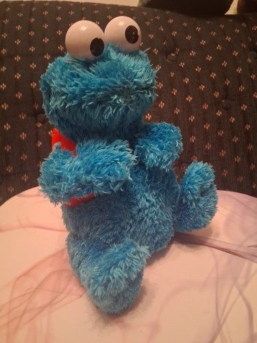 Sesame Street Stuffed Cookie Monster