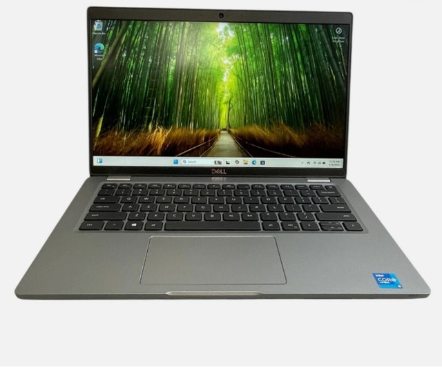 Dell Latitude 5420 14" FHD Laptop