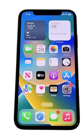 Apple iPhone X unlocked