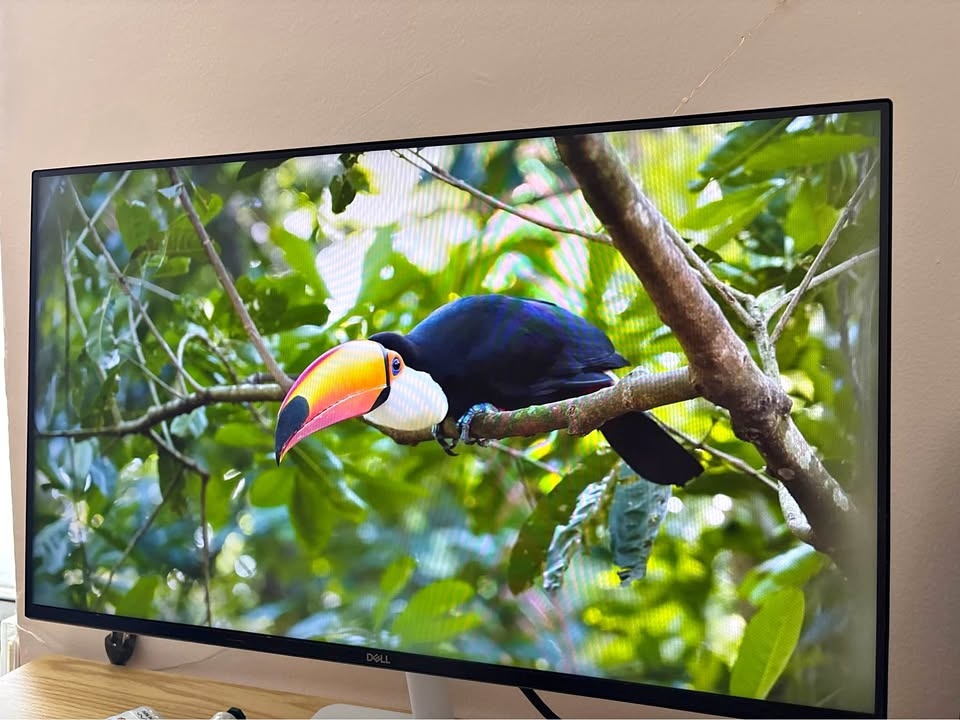 Dell Display – Full HD / Widescreen