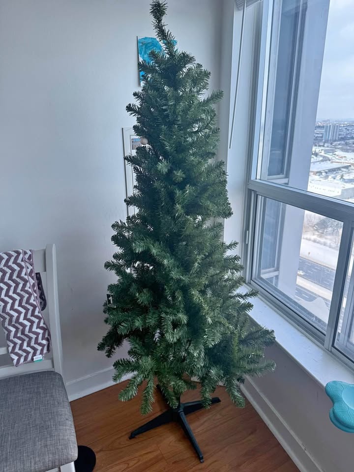 Christmas Tree for sale