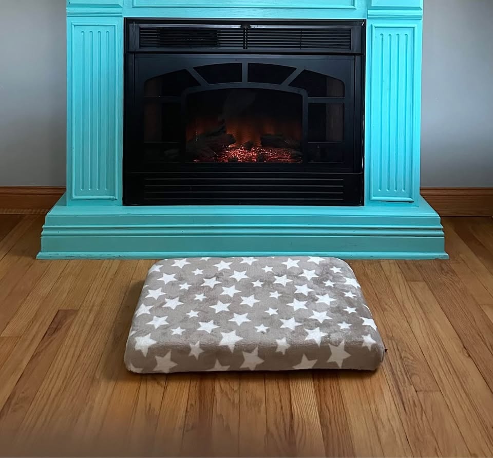 Foam pad for dog or cat