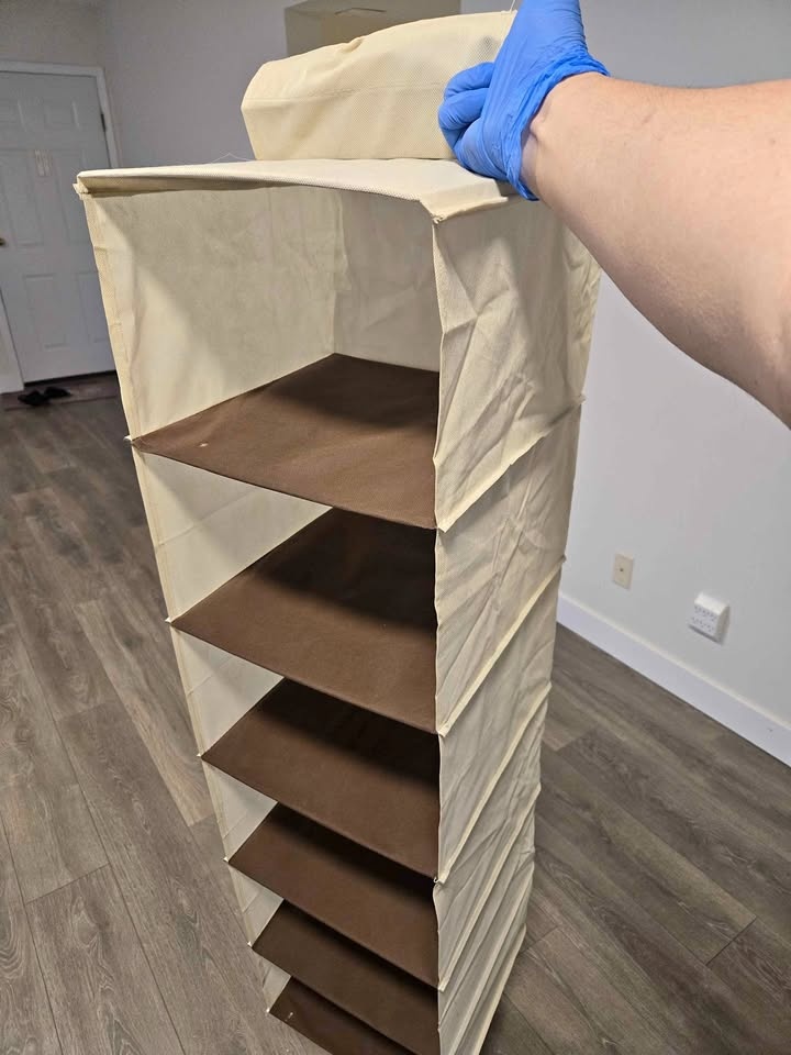 Organizer shelf
