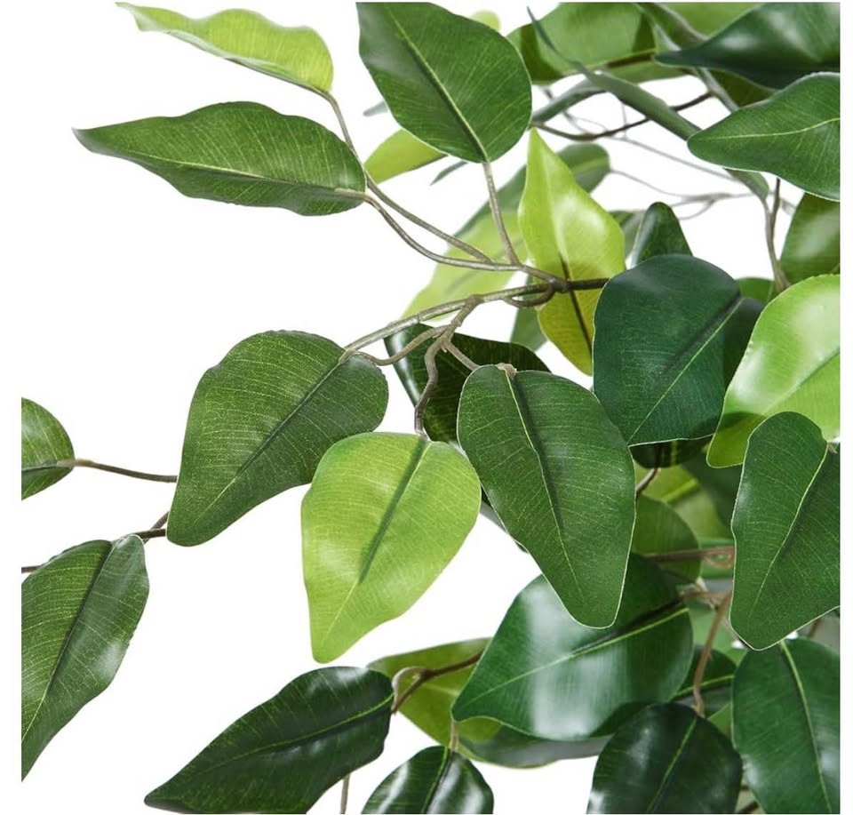 Artificial Ficus Tree 4Ft - photo 3