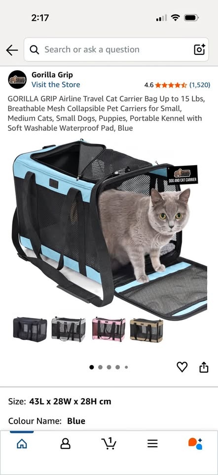 New Pet Travel Carrier Bag - Airline Approved
