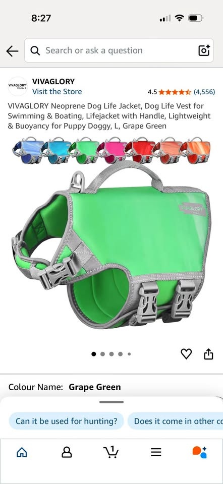 New Large Dog Life Jacket (Green)