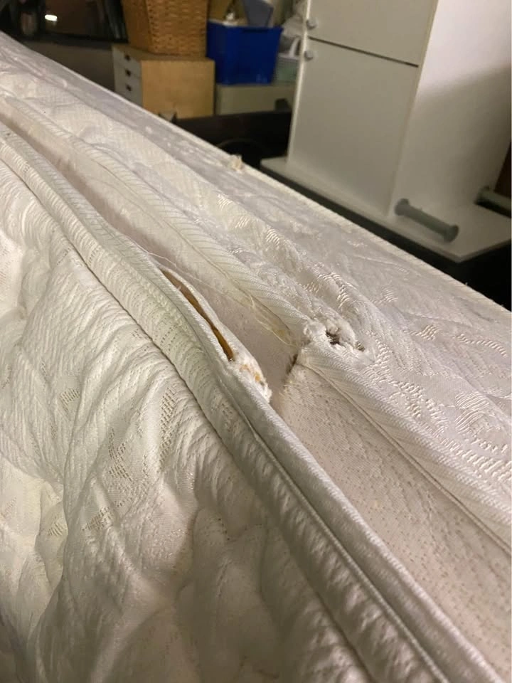 High thickness soft type queen size mattress - photo 3
