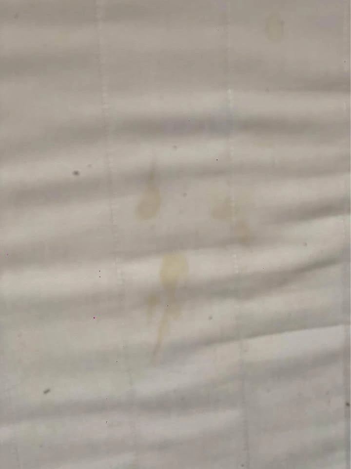 Ikea Queen Mattress - Free Richmond Delivery - photo 3