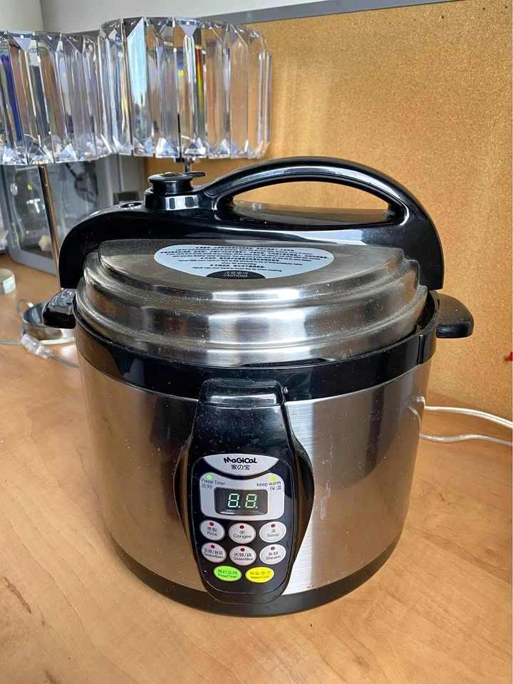 Mogicol 6 L Stainless Steel Programmable Pressure Cooker