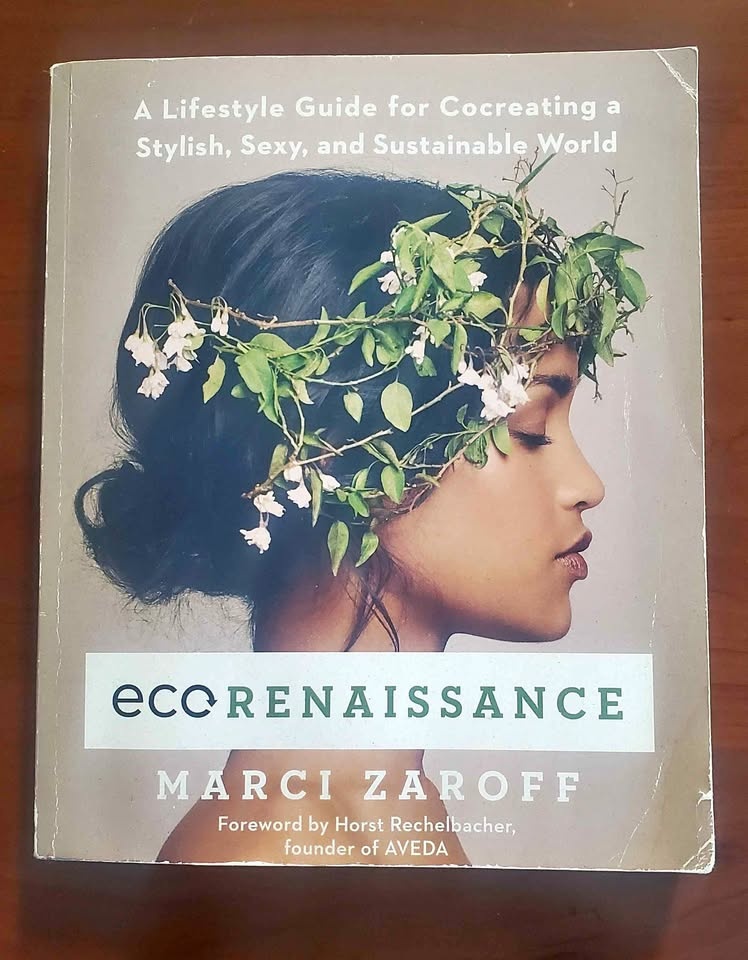 ECO Renaissance: A Lifestyle Guide, Sustainable World (Paperback