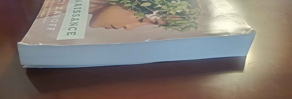 ECO Renaissance: A Lifestyle Guide, Sustainable World (Paperback - photo 4