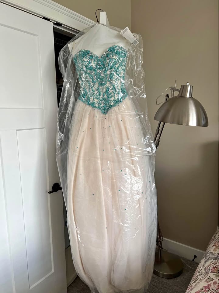 Princess Prom gown