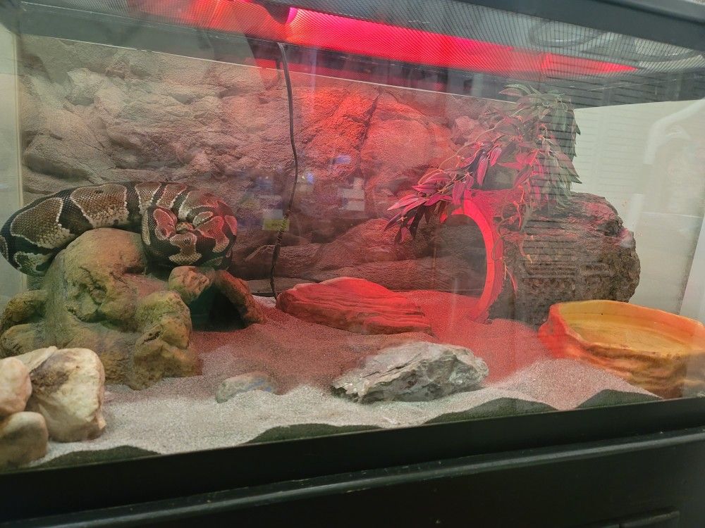 40" Gallon Breeder Reptile Glass Tank With Pine Wood Stand (Blk) - photo 4