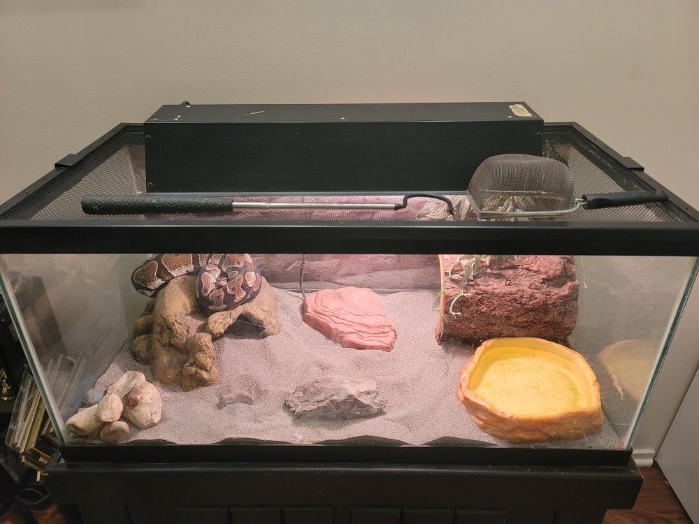 40" Gallon Breeder Reptile Glass Tank With Pine Wood Stand (Blk) - photo 5