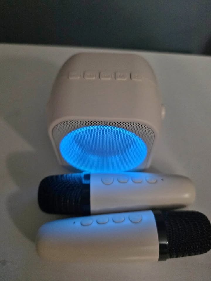 Karaoke machine with 2 mics
