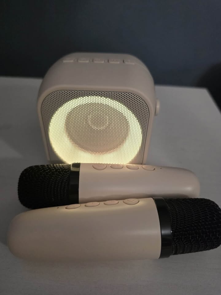 Karaoke machine with 2 mics - photo 4