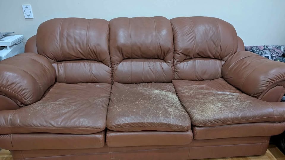 Leather sofa cum bed
