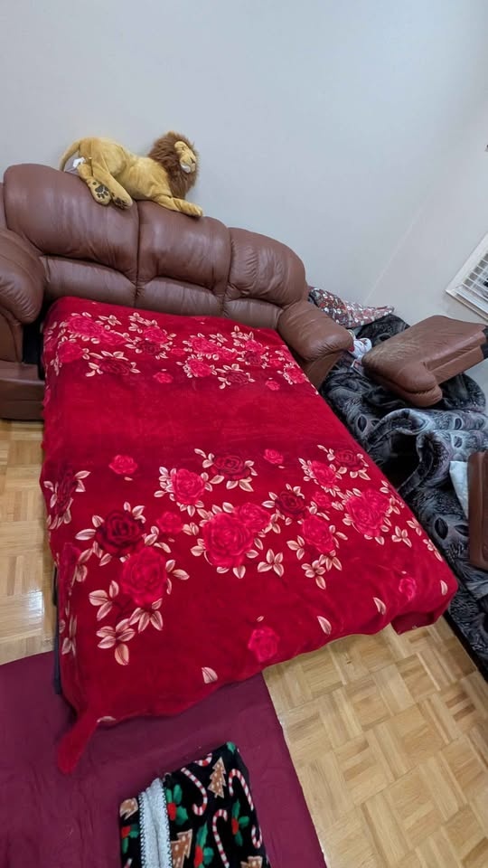 Leather sofa cum bed - photo 2