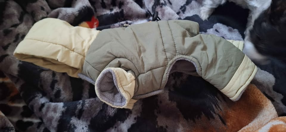 Tiny dog suit - photo 2