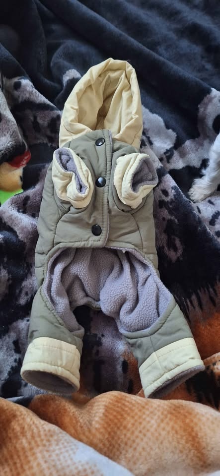 Tiny dog suit - photo 3