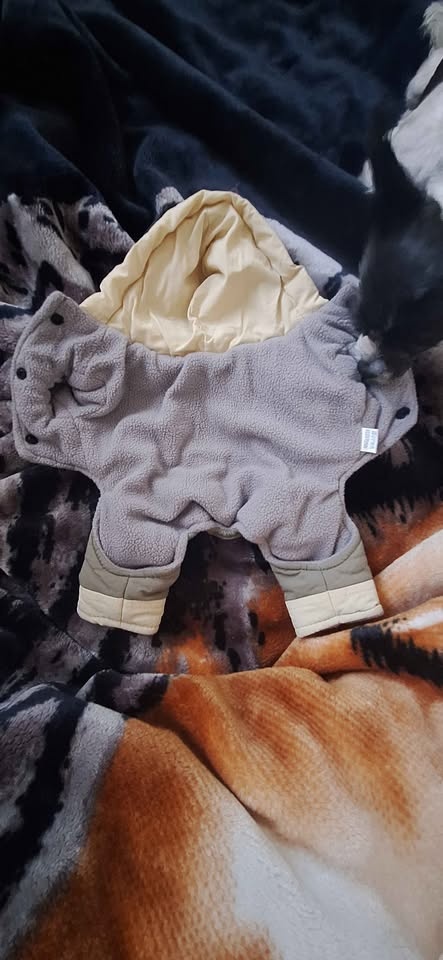 Tiny dog suit - photo 5