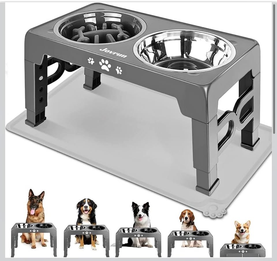 Elevated Dog Bowls with Stand - Gray