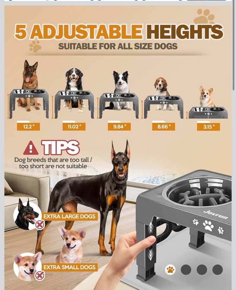 Elevated Dog Bowls with Stand - Gray - photo 2