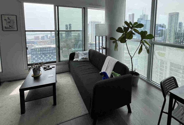 IKEA Gray Sofa