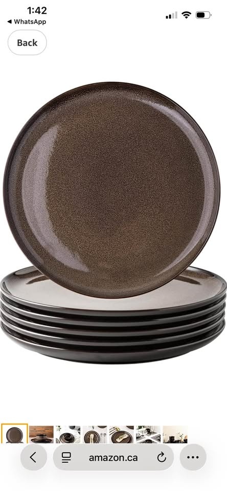 LERATIO Ceramic Dinner Plates Set of 6