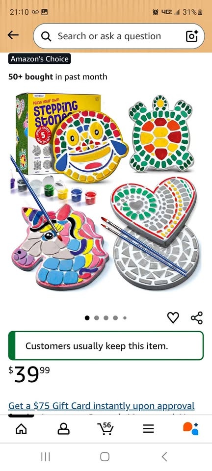 Paint Your Own Stepping Stones Craft Kit