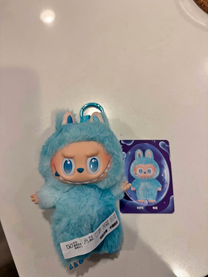 Hong Kong Version Authentic Big Into Energy Labubu