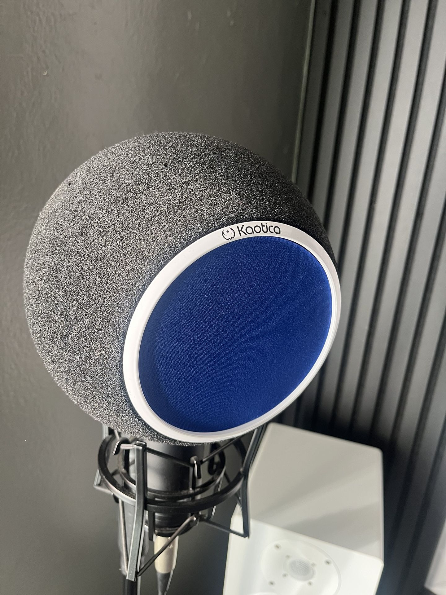 SR Lc200 Studio Microphone With Mic Stand & Kaotica Eyeball - photo 2