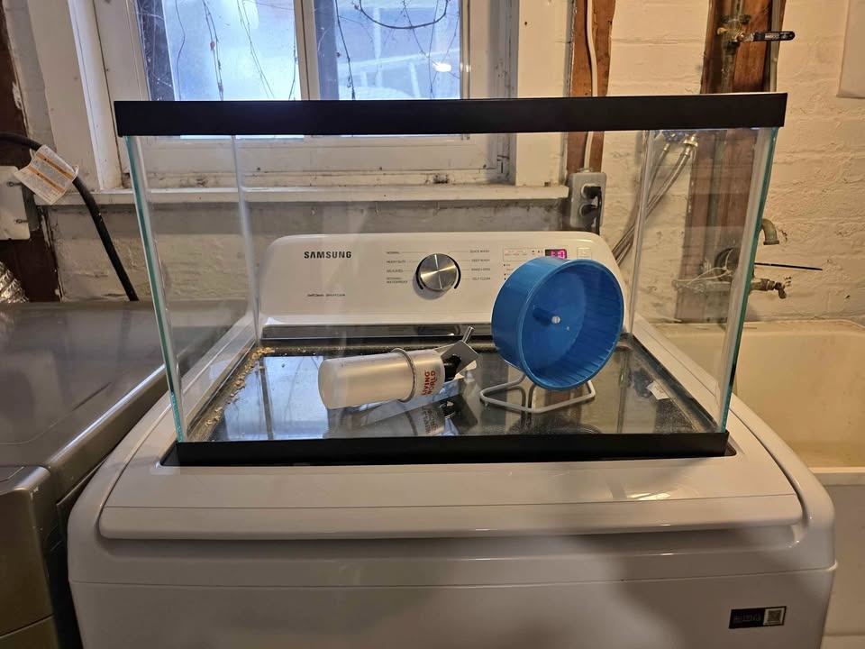 20 Gallon Glass Tank with Hamster Wheel and Water Bottle