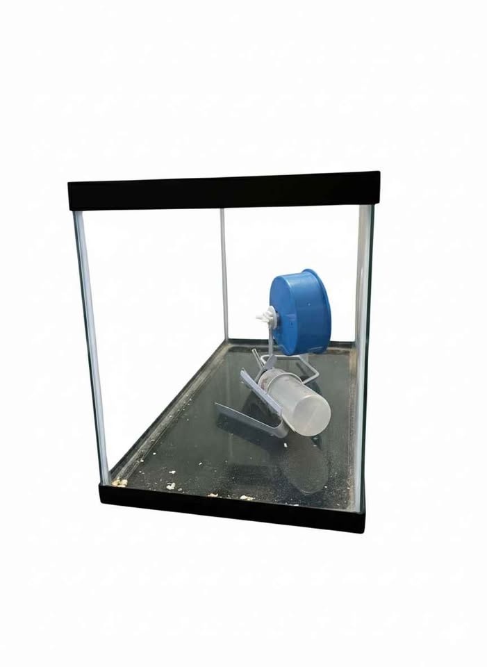 20 Gallon Glass Tank with Hamster Wheel and Water Bottle - photo 2