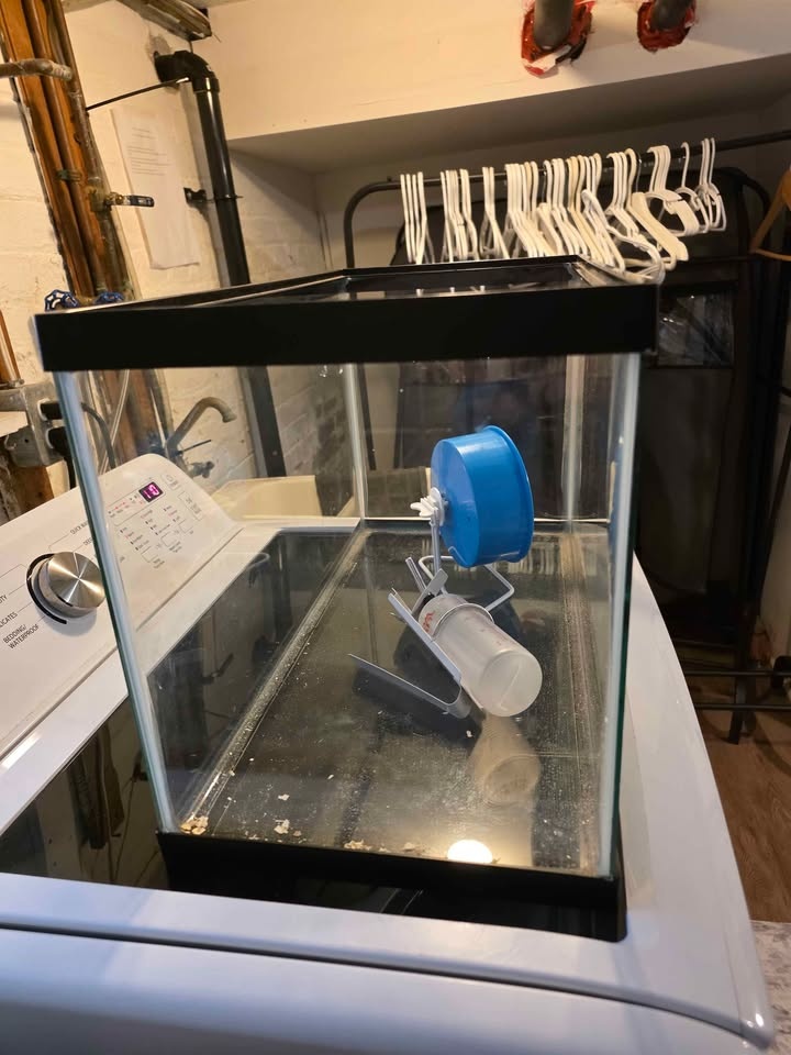 20 Gallon Glass Tank with Hamster Wheel and Water Bottle - photo 4