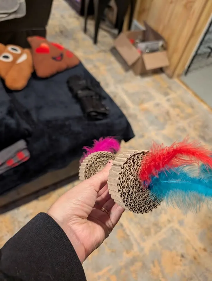 Cardboard cat toy with feathers image indicator(2)