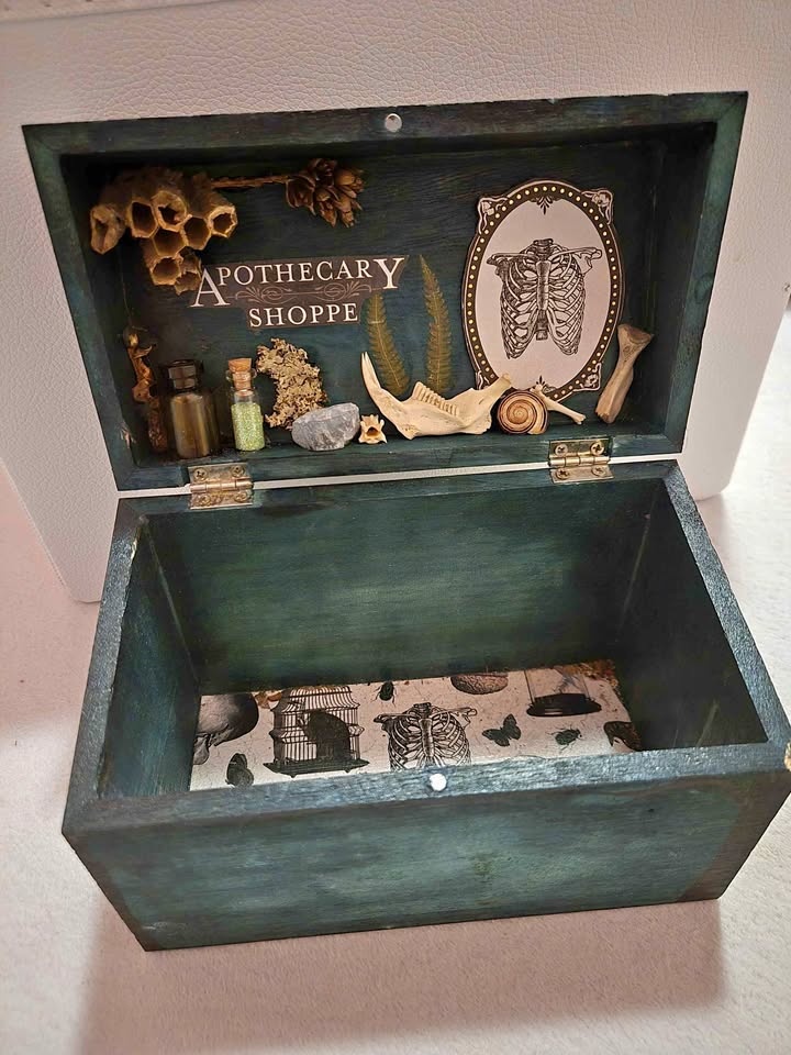 Dark Apothecary Box - Oddities & Specimen