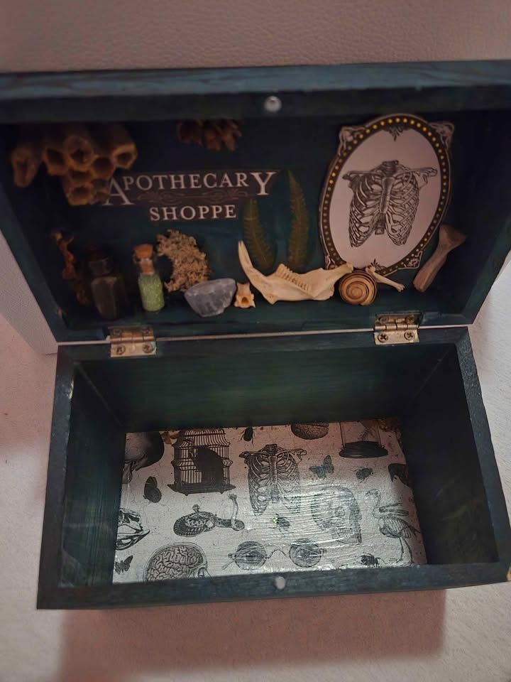 Dark Apothecary Box - Oddities & Specimen - photo 2