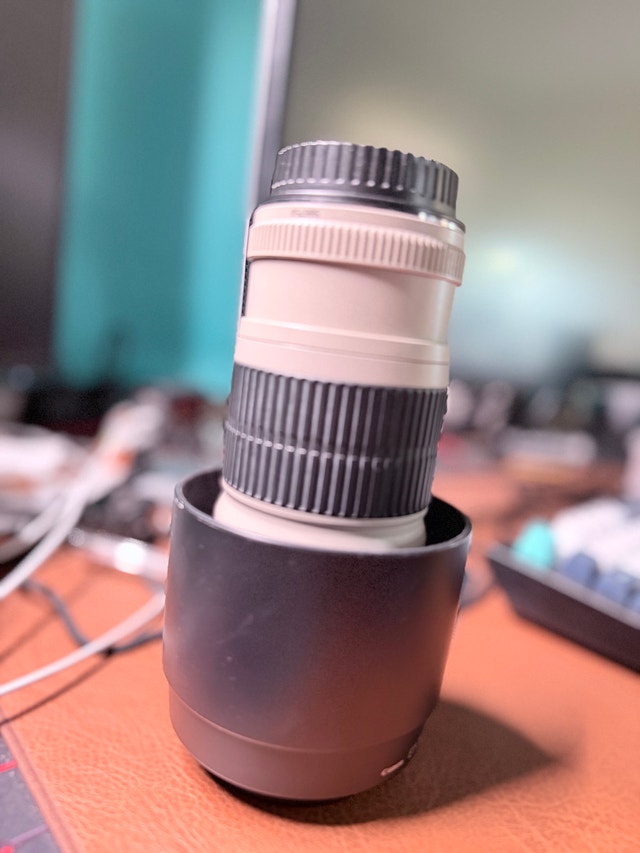 Canon EF 70-200mm f/4L USM Telephoto Zoom Lens