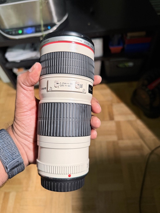 Canon EF 70-200mm f/4L USM Telephoto Zoom Lens - photo 4