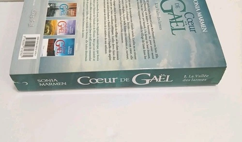 Cœur de Gaël – Tome 1 : La Vallée des larmes | Sonia Marmen | Ro - photo 3