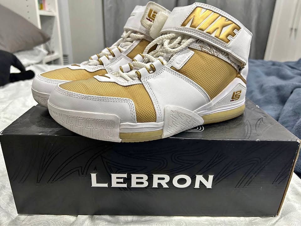 Nike LeBron 2 Retro “Maccabi” Size 9