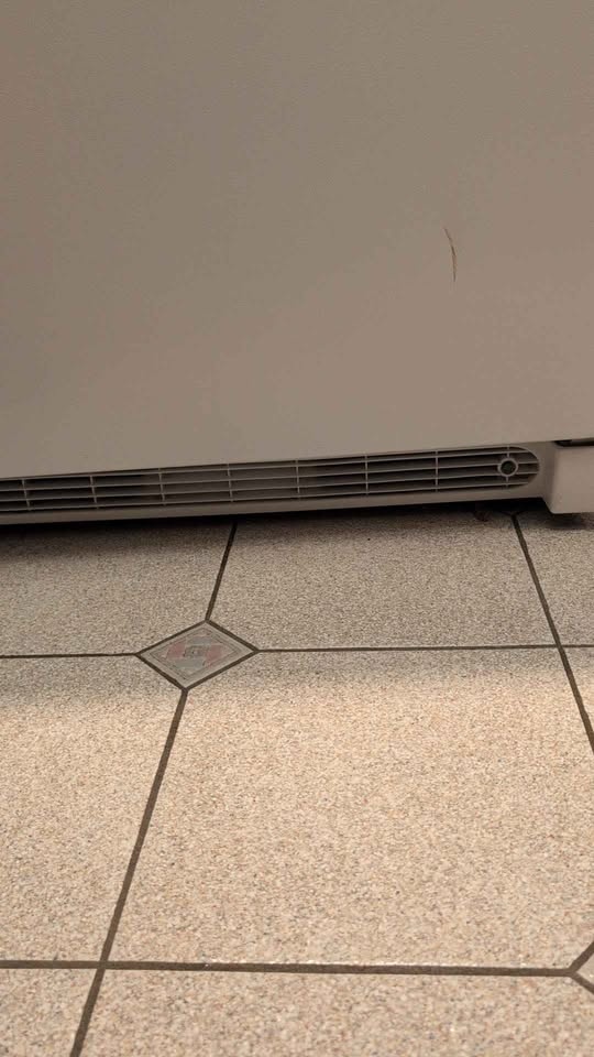 Frigidaire White Upright Freezer Energy Star CFFH17F1RW0 - photo 5