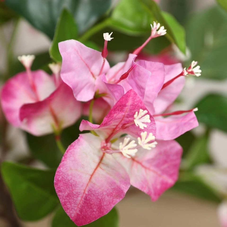 6FT Artificial Bougainvillea Tree in White Planter - photo 3